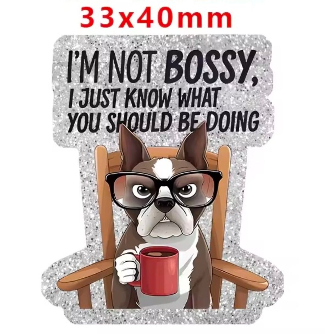 Glitter Acrylic Flatback- Acrylic Planer Resin Charm Animal Sarcastic
