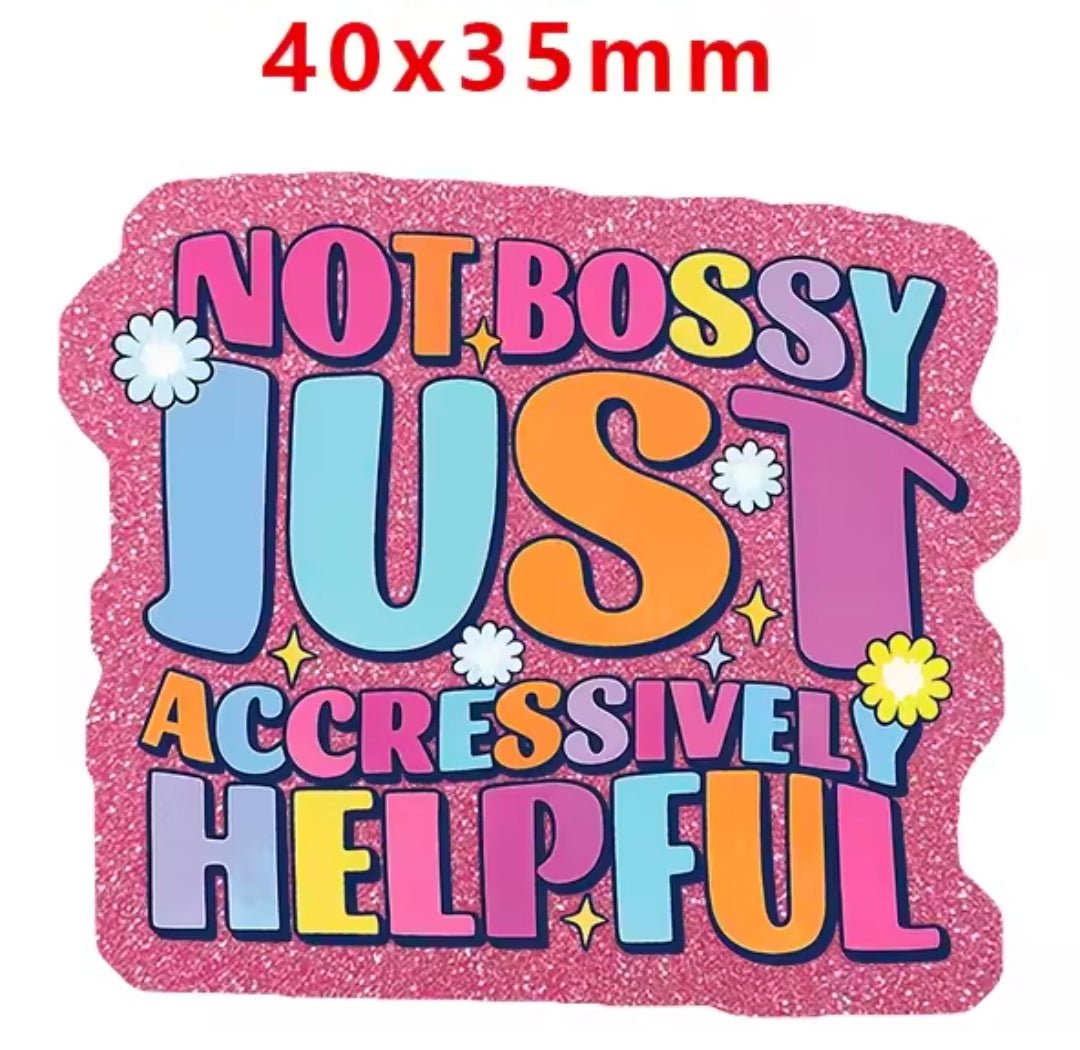 Glitter Acrylic Flatback- Acrylic Planer Resin Charm Medical Sarcastic Im Not Bossy