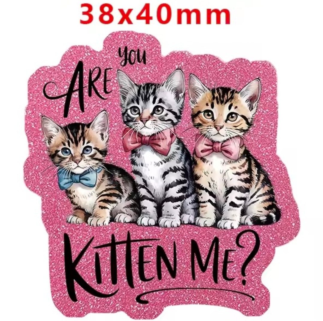 Glitter Acrylic Flatback- Acrylic Planer Resin Charm Animal Sarcastic
