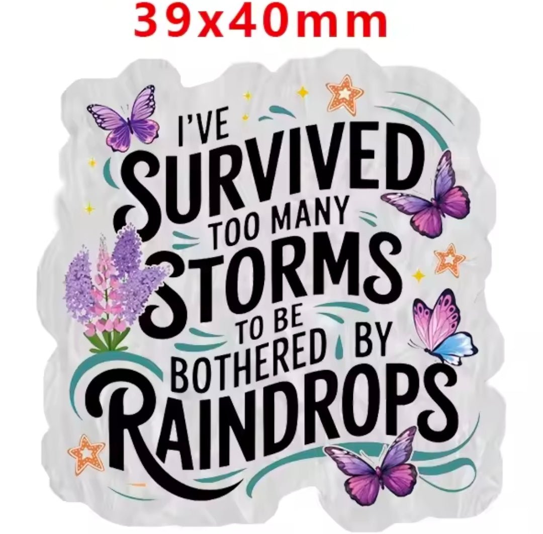 Glitter Acrylic Flatback- Acrylic Planer Resin Charm- Words Inspirational