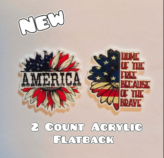 2 Count Acrylic Flatback- Acrylic Planer Resin Charm- Patriotic America