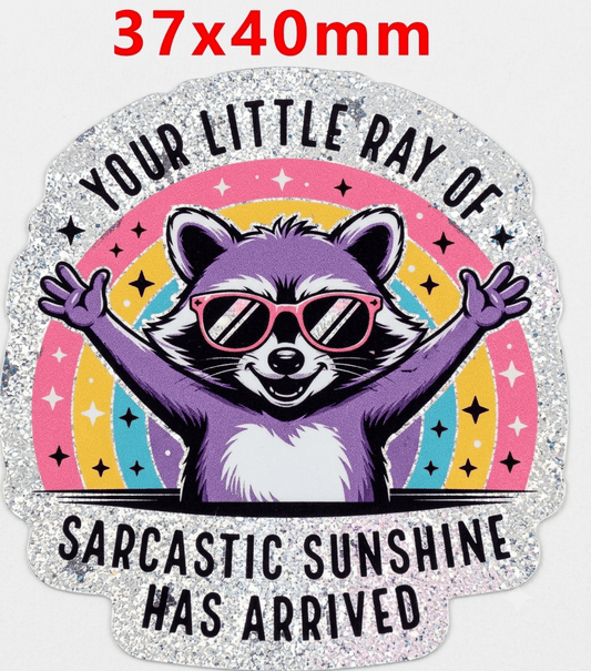 Glitter Acrylic Flatback- Acrylic Planer Resin Charm Racoon little ray of sunshine has arrived