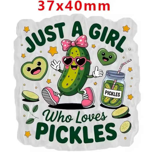 Glitter Acrylic Flatback- Acrylic Planer Resin Charm Pickels