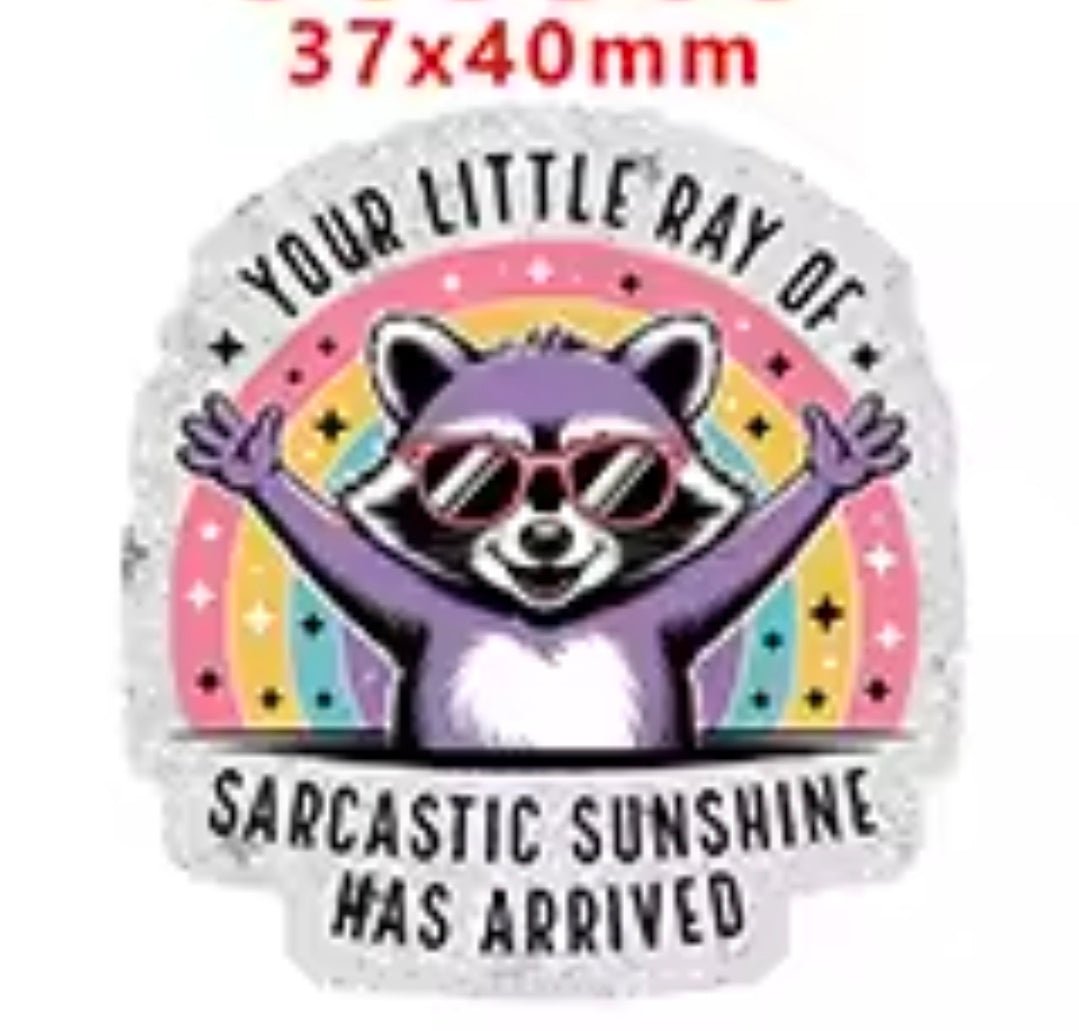 Glitter Acrylic Flatback- Acrylic Planer Resin Charm Racoon little ray of sunshine has arrived