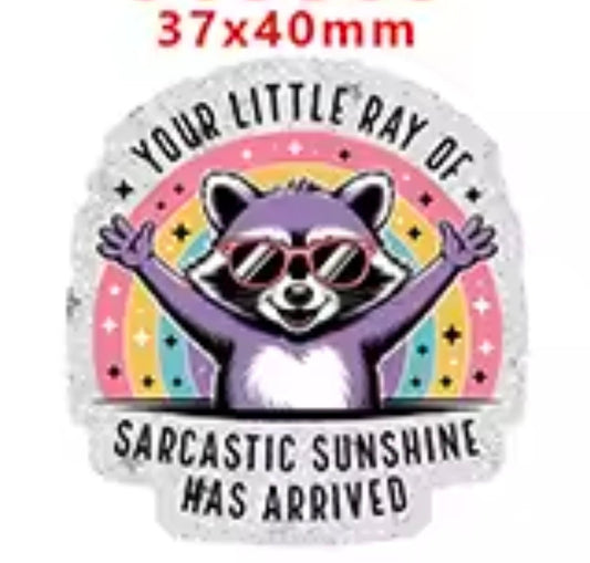 Glitter Acrylic Flatback- Acrylic Planer Resin Charm Racoon little ray of sunshine has arrived
