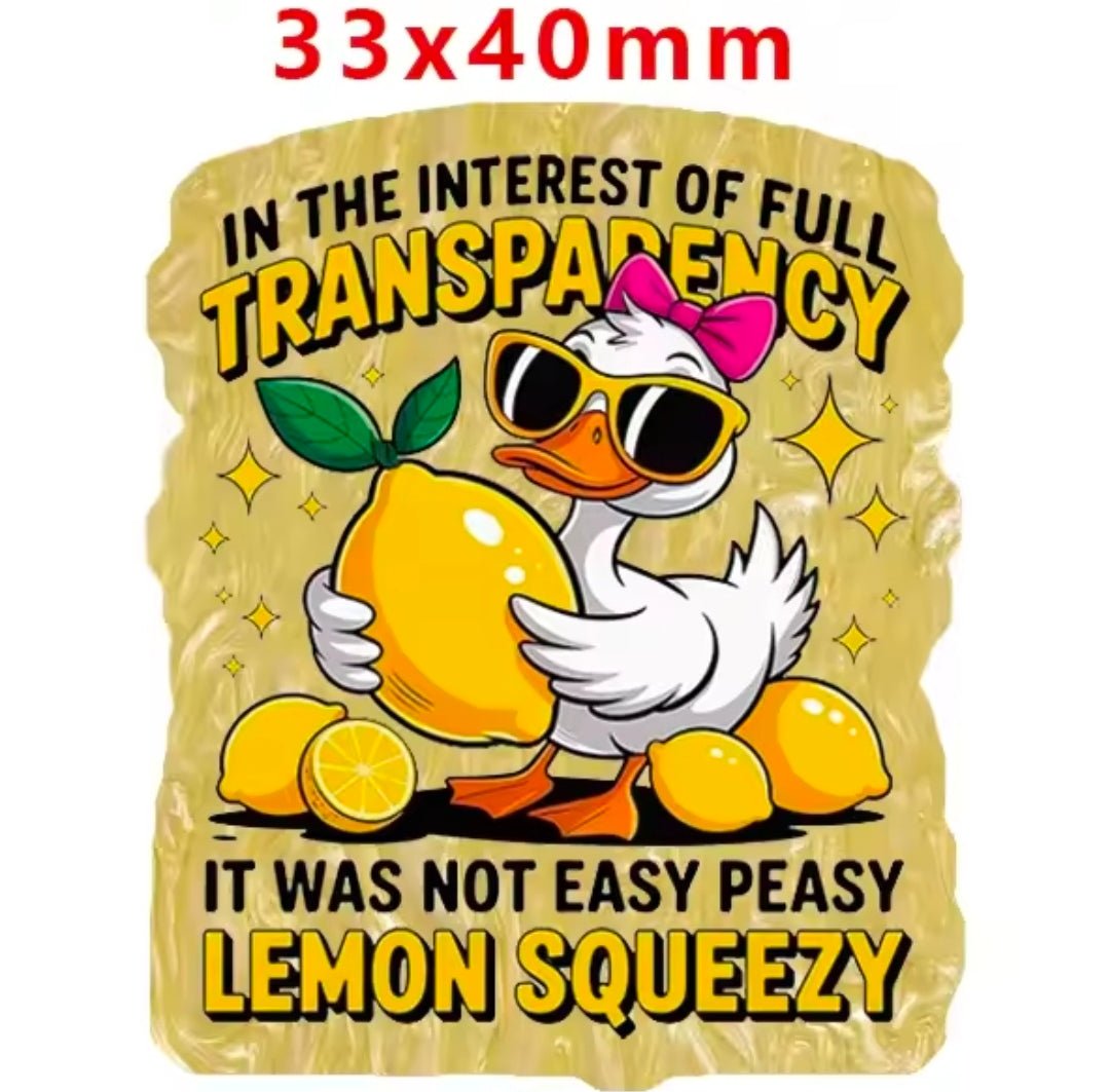 Glitter Acrylic Flatback- Acrylic Planer Resin Charm Goose Lemon Funny