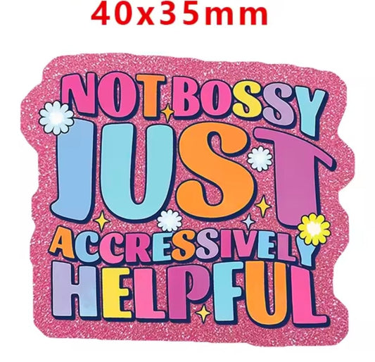 Glitter Acrylic Flatback- Acrylic Planer Resin Charm- Words Not Bossy