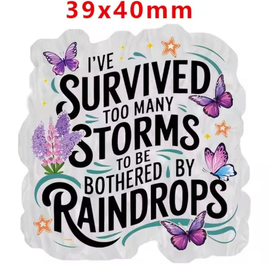 Glitter Acrylic Flatback- Acrylic Planer Resin Charm- Words Inspirational