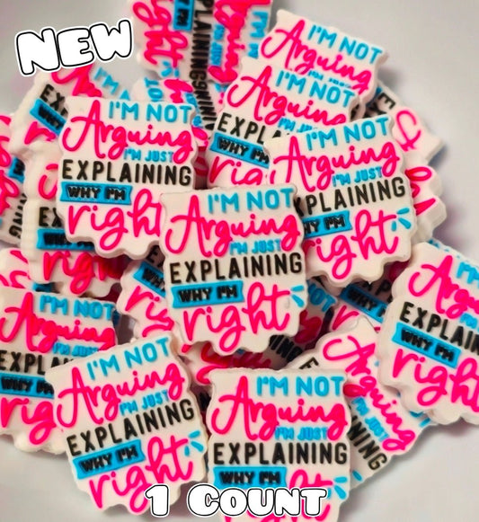 New 1 Count Sarcastic Arguing Why I Am Right Focal Bead